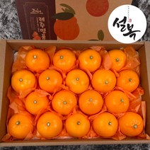 (설복) 제주 천혜향 선물세트 특상품 2kg 3kg 5kg 제철과일 가정용