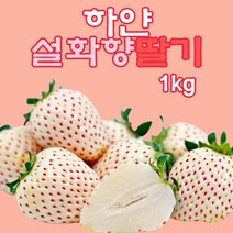 프리미엄 하얀딸기 설화향 1kg, 1개