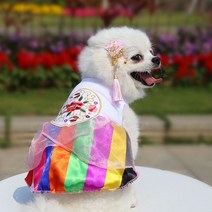 도그월드 강아지 고양이 개량 한복 드레스, 개량한복 무지개