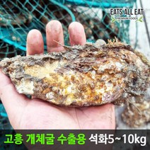이츠올릿 고흥 수출용 석화 개체 굴 10kg 제철 각굴 자연산 생굴 구이 용, 상세페이지 참조, 상세페이지 참조, 상세페이지 참조