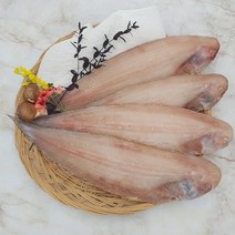 부산 반건조 생선 서대 박대 반찬용 제수용 조림용, 특대 3마리 (38~42cm)