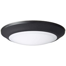 Westinghouse Lighting 6322800 Large LED Indoor/Outdoor Dimmable Surface Mount Wet Location Oil Rubb, Oil-rubbed Bronze, TRADITIONAL