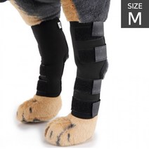 다름 반려견 슬개골 관절보호대 M 2p 1set / 강아지, 블루