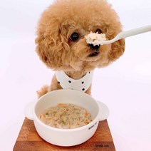 위닝푸드 강아지 보양식 죽 골라담기 반려견 화식 자연식 건강식, 소고기죽 70g x 1개