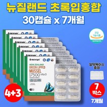 코스트코 초록입 그린 홍합 오일 초롱잎 초롱이 푸른 홍합 추출물 GREENLIPPED 운동 뼈 고관절 무릎 30대 40대 50대 60대 70대 노인 남성 남자 영양제, 7박스