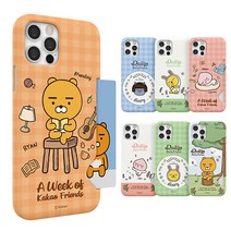 카카오프렌즈 데일리 슬림카드 케이스 아이폰14 pro max 플러스 프로 맥스 어피치 라이언