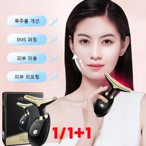 1/1+1 뷰티 기기 주름 피부관리기 피부마사지기 목주름 개선EMS 퍼밍피부 미용피부 리프팅, 블랙*1+1, 블랙*1 1