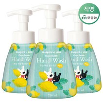 가스파드앤리사 항균버블 핸드워시(용기) 250ml x 3개, 단품