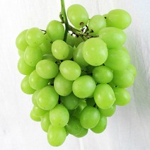 오톰크리스피 페루산 애플 청포도 씨없는 청포도, 5kg내외
