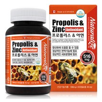 캐나다 직수입 프로폴리스 아연 플라보노이드 90캡슐 력강화 PROPOLIS