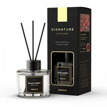 공간을 은은하게 채우는 시그니처 니치 차량용 사무실 실내 디퓨져 방향제 100ml Y, 영도매 가든파티