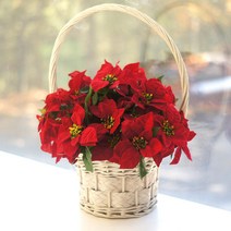 포인세티아조화 34cm 크리스마스꽃 장식, 레드