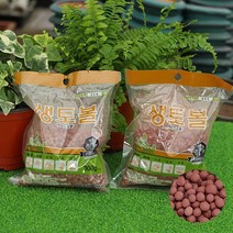 황토볼 수경재배용 어항식재용 다육식물 볼, 대(300g), 1개