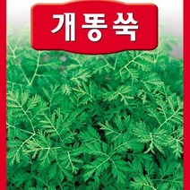 [가람종묘사] 개똥쑥 씨앗(원기회복 피로회복 염증완화 및 각종 질병 면역력 강화에 도움)