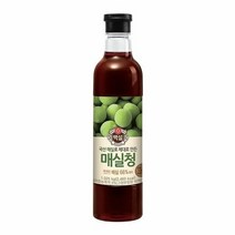 CJ 백설 매실청 1.025KG