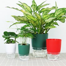 저면관수 화분 심지 자동급수 식물키우기 자동급수화분 물주기 플라스틱화분 인테리어 미니화분, 레드-소