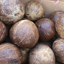 베트남 야자코코넛 3입 (1개당 1kg)