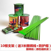 돈 나무 브래킷 야채 멜론과 과일 등반 pergola 꽃 스탠드 막대 난초 식물 지원 막대 번들 와이어 포장 플라스틱 와이어, 10개의 머니 트리 브래킷(4mm 두께  120c