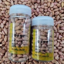 [한스푼푸드] 땅콩씨앗 100g (110립내외) 씨눈이 살아있는 땅콩종자, 땅콩씨앗 200g(240립 내외)