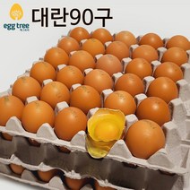 [오늘낳은 달걀] HACCP농가 에그트리 생계란, 1개, 대란, 90구
