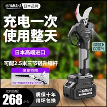 가지치기 전자 가위 전동 꽃 나무 원예 조경 톱 충전 높은 배터리, 5CM