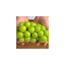 김천 샤인머스켓 청포도 2kg 선물 세트 보자기포함