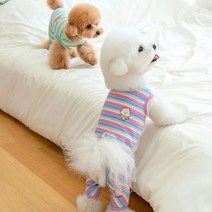 강아지 봄옷 닥스훈트옷 귀여운 애완 동물 캐주얼 착용 개 옷 푸들 테디 비숑 고양이 포메라니안 요크셔 테리어 슈나우저 작은 의류 XS, [02] S, [02] Brown