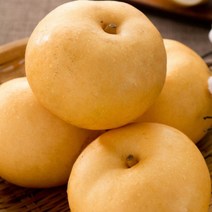 [명절선물] 배 나주 햇배 신고 특품 가정용 설 명절 과일 선물 세트, 햇배(신고) 가정용 5kg (5-7과)