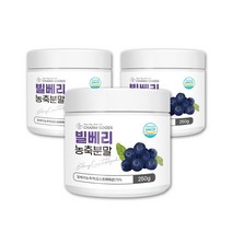 빌베리 분말 야생 블루베리 농축액 가루 블루베리파우더 와일드 블루베리차 열매 에이드 3통