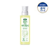 디펜드 물없이 쓰는 바디워시 200ml (간병용 캠핑용 워터리스), 1개