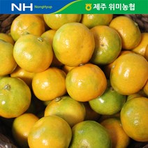 제주 위미농협 하우스감귤 5kg(45-55과), 단품