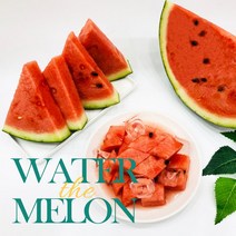 안전포장 에어포장 고당도 꿀 겨울 수박 4-5kg 5-6kg