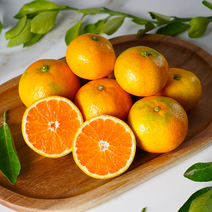 프레셔스 제주 GAP인증 당도선별 제철 감귤, 로얄과(S-L), 5kg