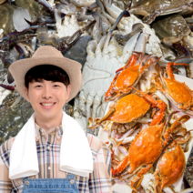 먹사부 태안 국산 활 생물 꽃게 냉동 꽃게 암꽃게 숫꽃게 찜용 랜덤 서해안 소 중 대 특대 얼음 톱밥포장 주문 박스 1kg 2키로 3킬로, (1). [프리미엄] <얼음포장> 활꽃게, 2kg” class=”wr-img”></a></div></p></div></p></div></p></div><div class=