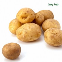 쿠잉Fresh 수미감자 햇감자 강원도 국내산 감자 3 5 10kg 중 대 특 왕특, 쿠잉Fresh 감자 왕특 10kg(요리용)