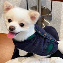 강아지할매조끼 강아지 할머니조끼 방한복 털옷 개타고니아 옷 후리스 체크, 그린S