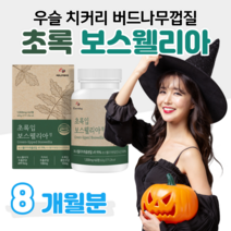 초록입 보스웰리아 하루 2정 인도산 보스웰릭산 초록 입 홍합 우슬 버드나무 껍질 치커리 홈쇼핑 영양제 프리미엄 골드 플래티넘 성분 가격 효능 비교 등산 조깅 런닝 필라테스, 8개월분, 1000mg x 60정 (하루두알)