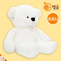 누리베어 아기 굿잠 낮잠인형 미니곰 흰 곰인형