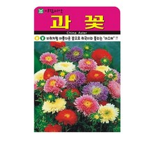 SN월드 씨앗 고급꽃씨 꽃씨앗, 고급 - 과꽃(1000립)