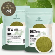 국내산 100% 뽕잎가루 분말 500g, 2팩