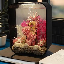 가정용 아크릴 수족관 조명 관상어 구피 키우기 금붕어 라이트 어항, 심해 산호 패키지 1 + 3 색 빛