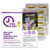 캐나다원어데이 감마리놀렌산보라지오일1000MG X 90캡슐 달맞이종자유 순환영양제 달맞이꽃종자유