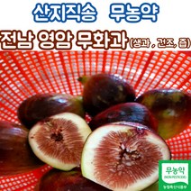 1kg무화과2kg달콤한열매영암 인기 순위 TOP50에 속한 제품들