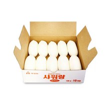 무궁화 샤워랑 미용비누 10개입/ 알뜰절약형/ 업소용, 샤워랑 비누 10개입, 샤워랑 비누 10개입