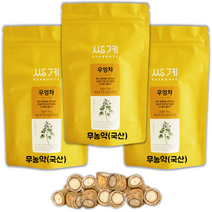 우엉차 (75g x 3팩) 코스트코 쌍계 김동곤 명인 볶은 볶음 우엉 차 말린것, 쌍계명차 무농약 국산 우엉차 75g x 3팩