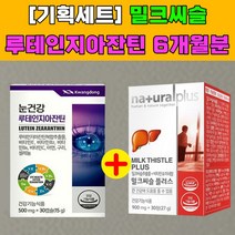 지방간 간 눈 건강 노안 에 좋은 영양제 밀크씨슬 루테인 간기능 개선제 보호제 보조제 회복제 건강한 피로 간수치 효능 추천 식품 플러스 건조 노화 40대 50대 남자 남성 여성, 3개, 밀크씨슬+루테인 2개월분, 60정