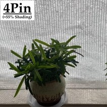 선쉐이드 차양막 그늘막 차광 흰색 방지 차양 그물 쉼터 야외 농업 정원 다육 식물 커버, 4Pin White+2mx8m
