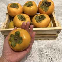 새마을총각 단감 5kg 10kg 대추단감 땡감 진영 부유, 5kg 25~27개 (중)