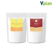 브이플랜 건망고 말린 건조 망고 말랭이 1kg+대추야자 1kg, 1세트
