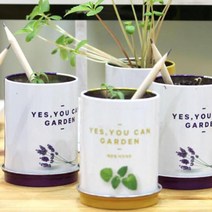 방울토마토 해바라기 씨앗연필 연필 판촉물 독특한연필